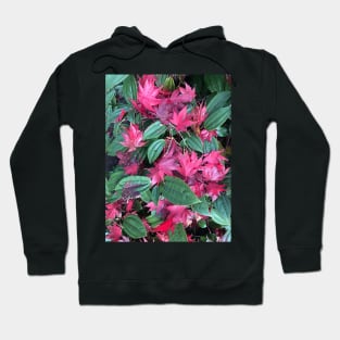 Red and Green Joyous Christmas of the Forest Floor Hoodie